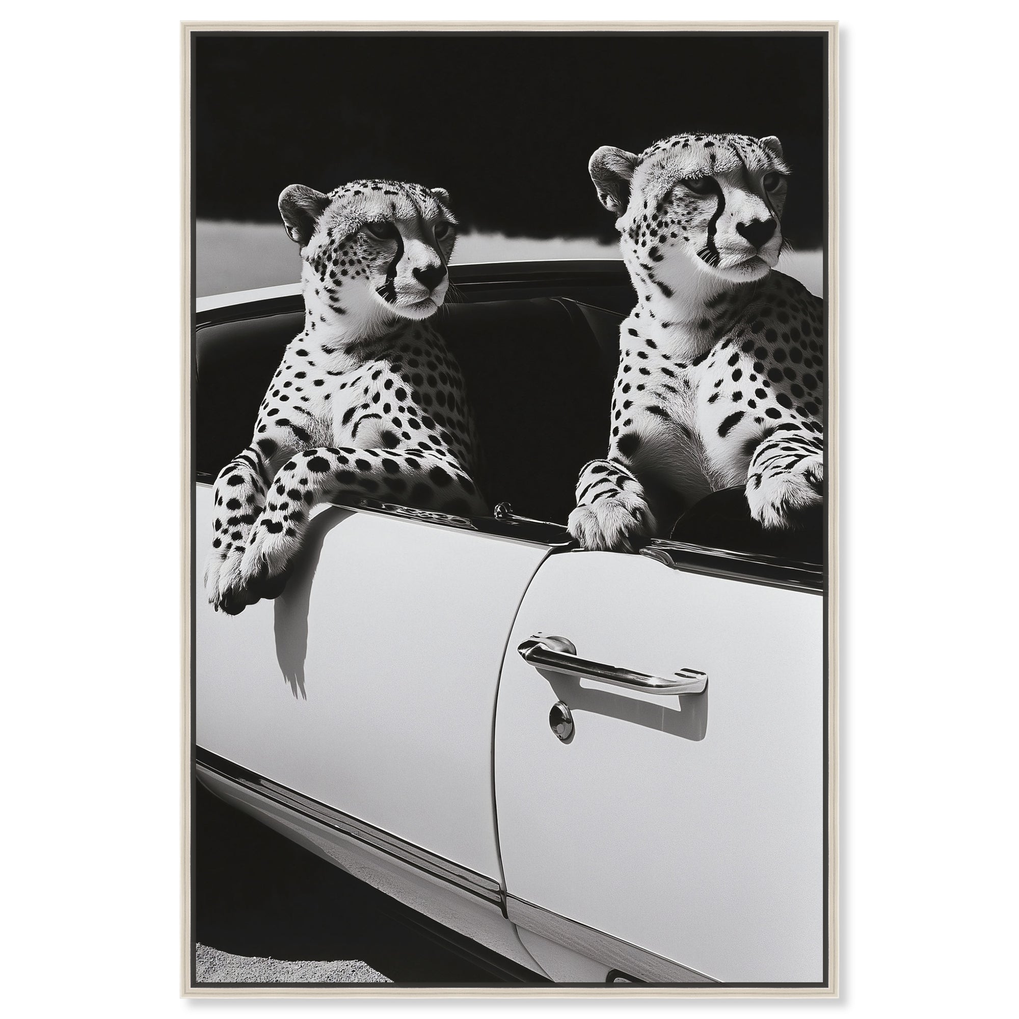 Convertible Feline II