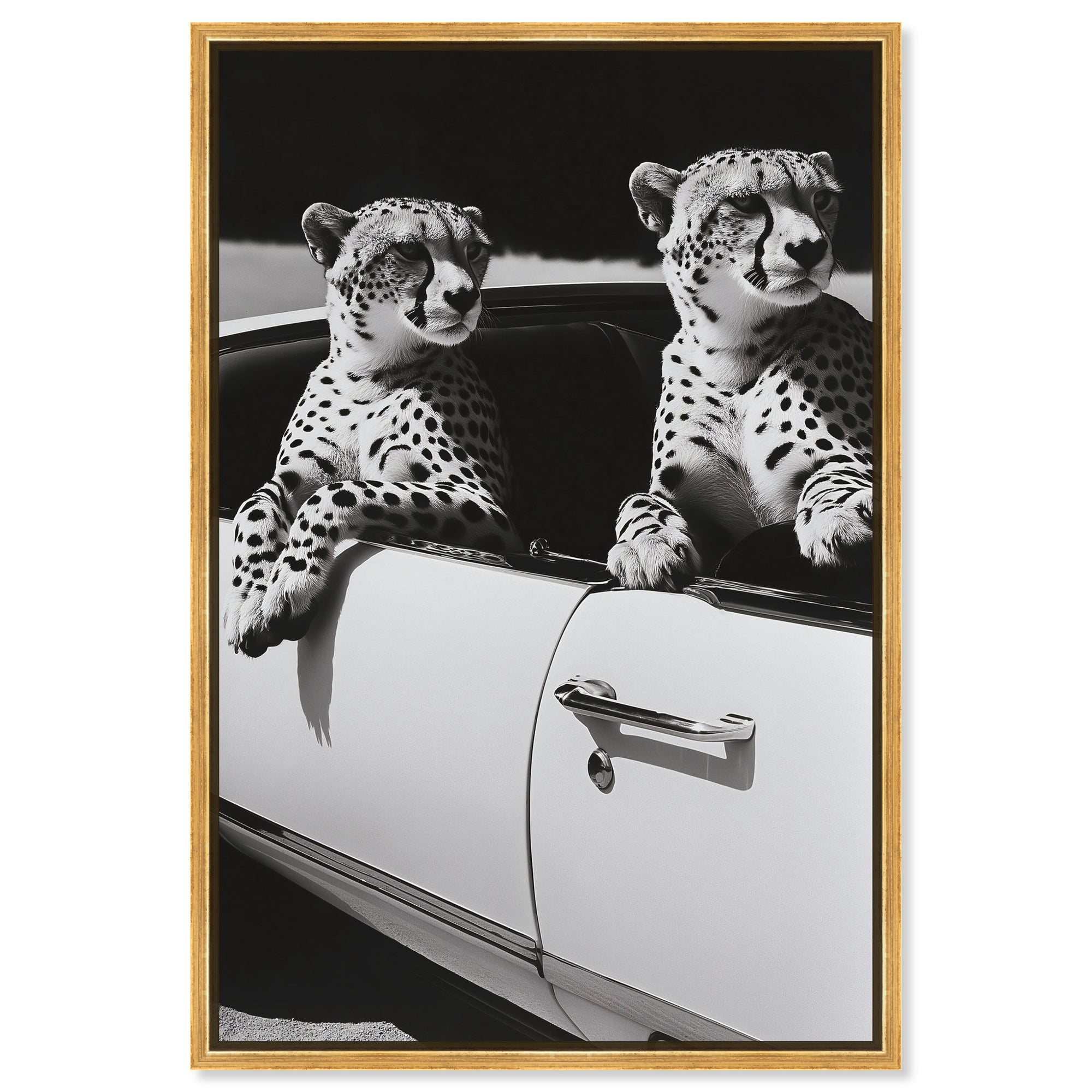 Convertible Feline II