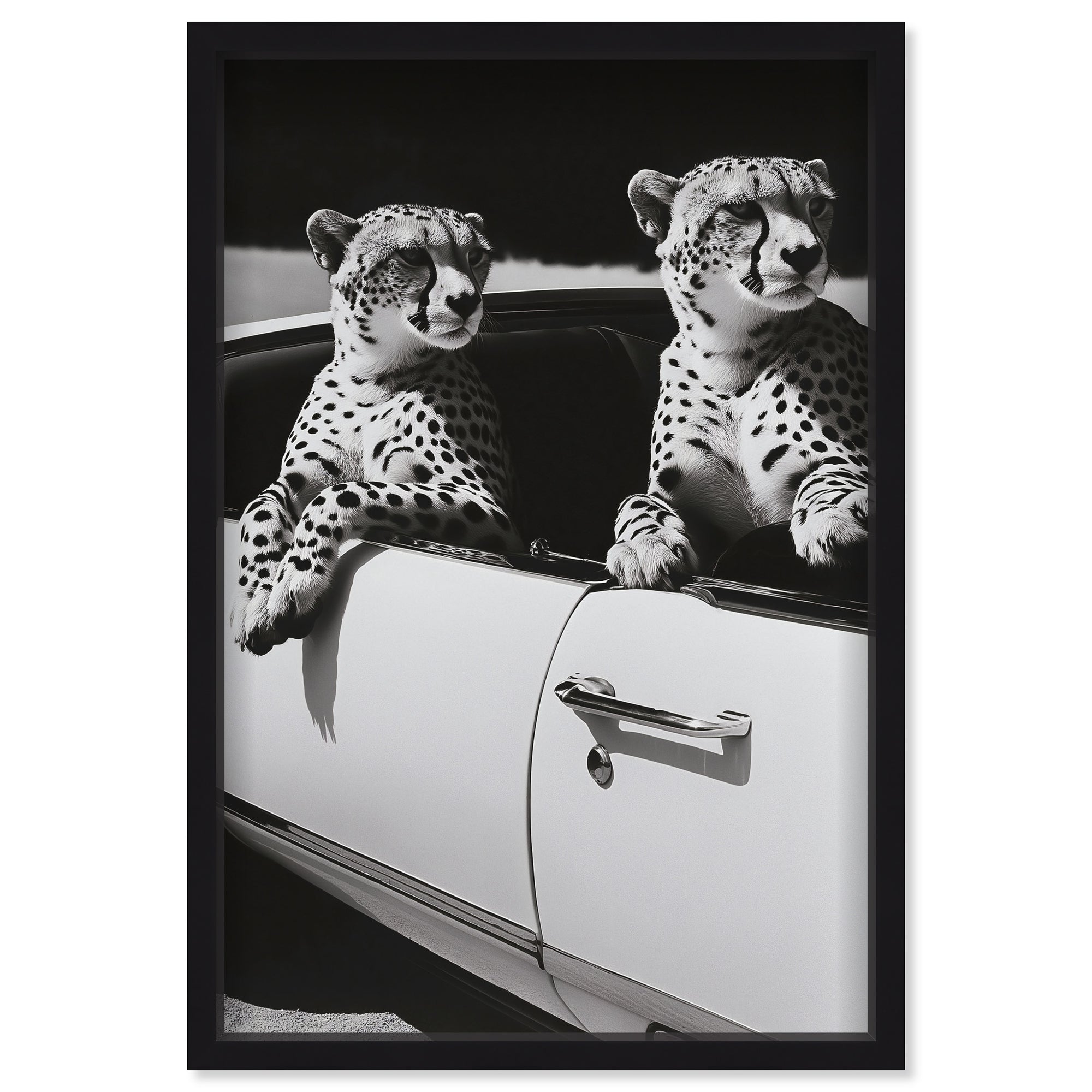 Convertible Feline II
