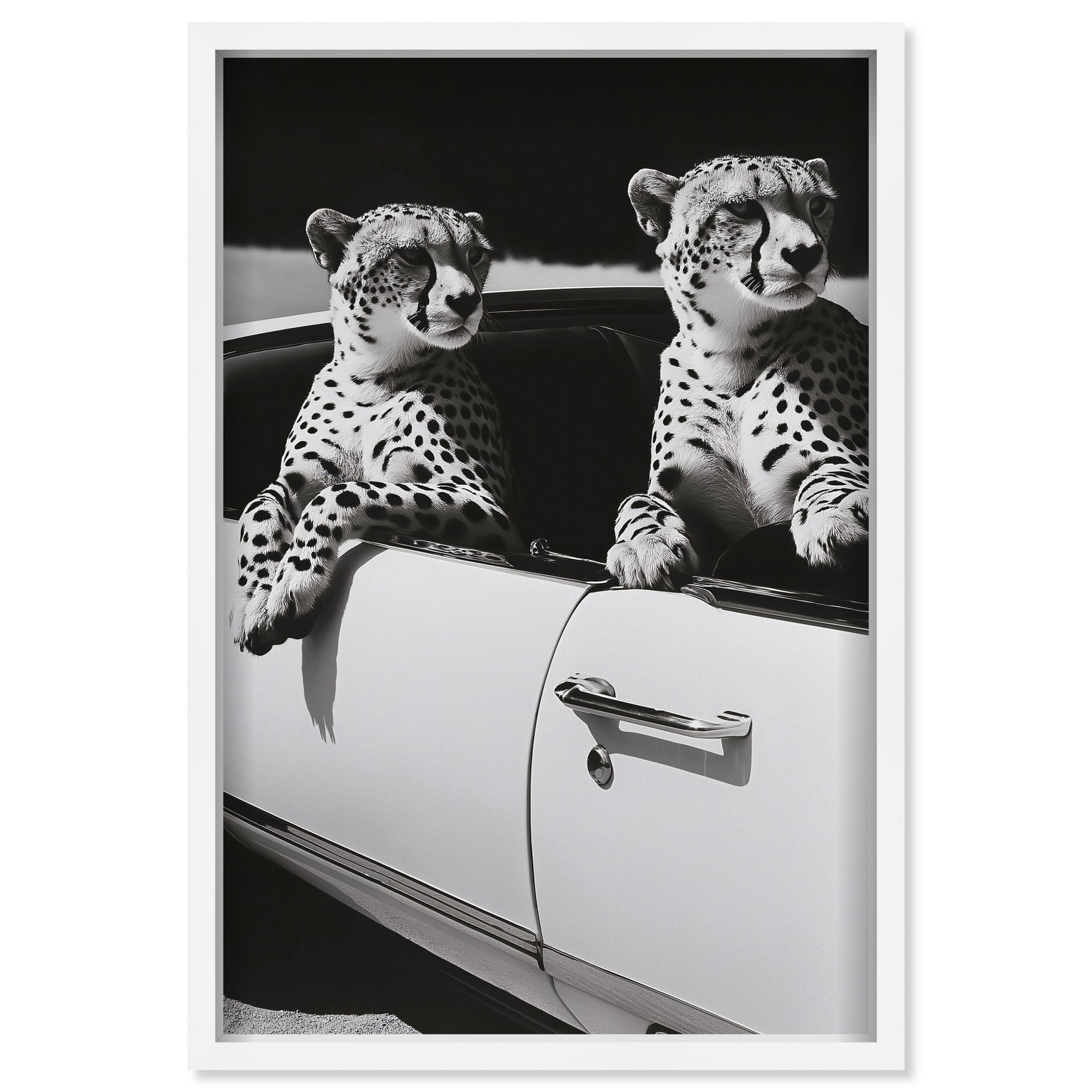 Convertible Feline II