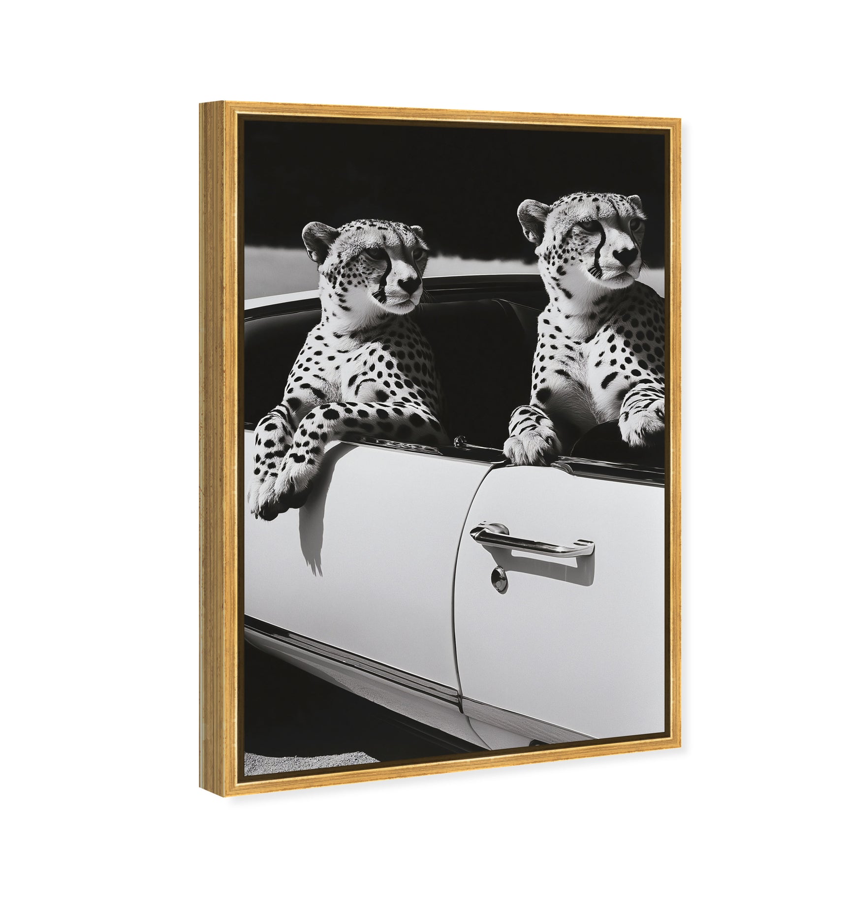 30x45/Museum Grade Canvas/PSGLD