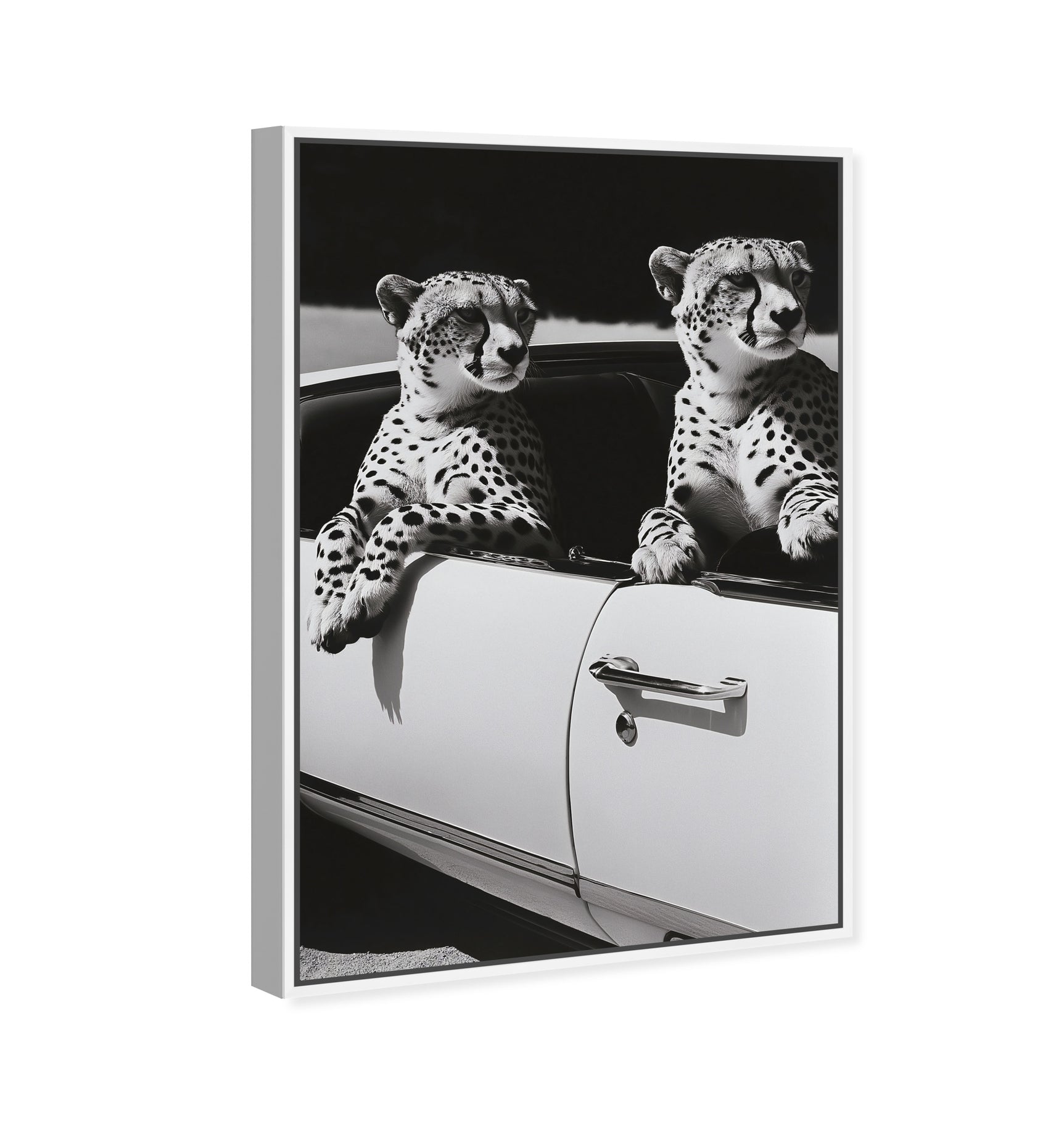 30x45/Museum Grade Canvas/WFL