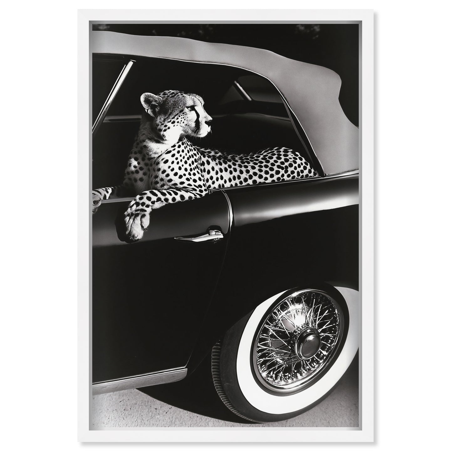 Convertible Feline I