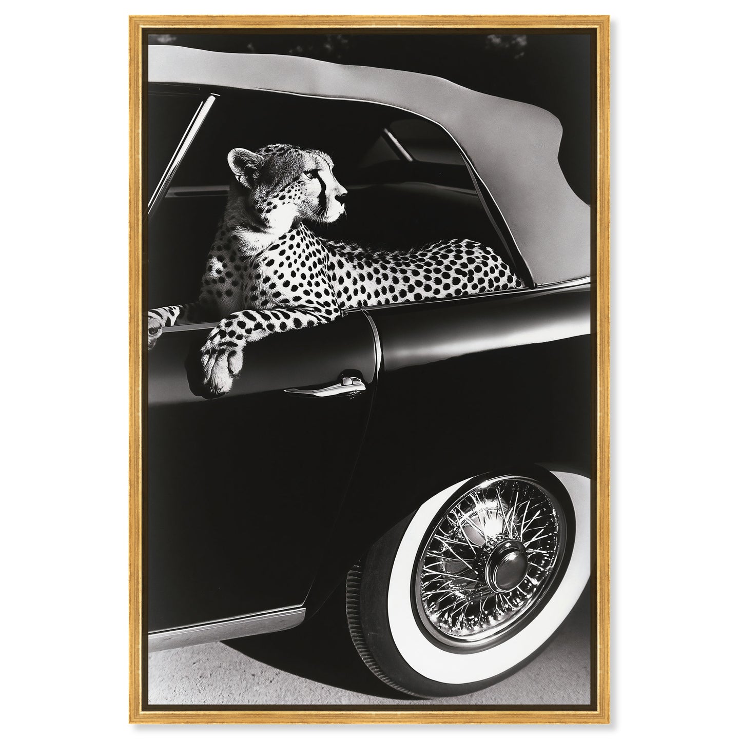 Convertible Feline I