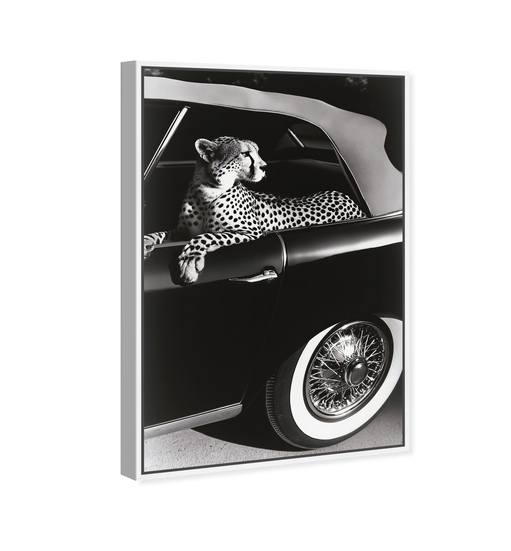 30x45/Museum Grade Canvas/WFL