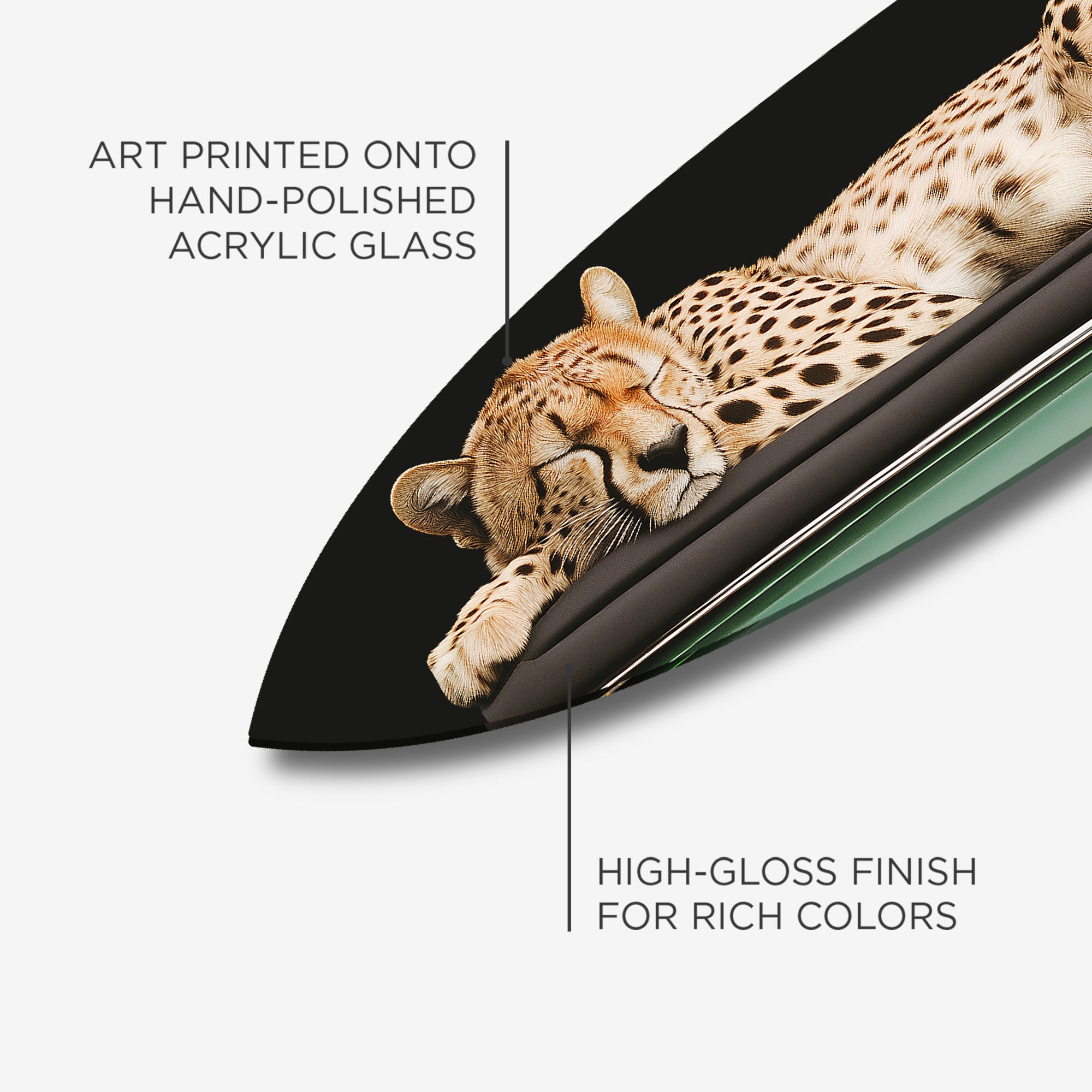 Sleepy Cadi Cheetah Surfboard