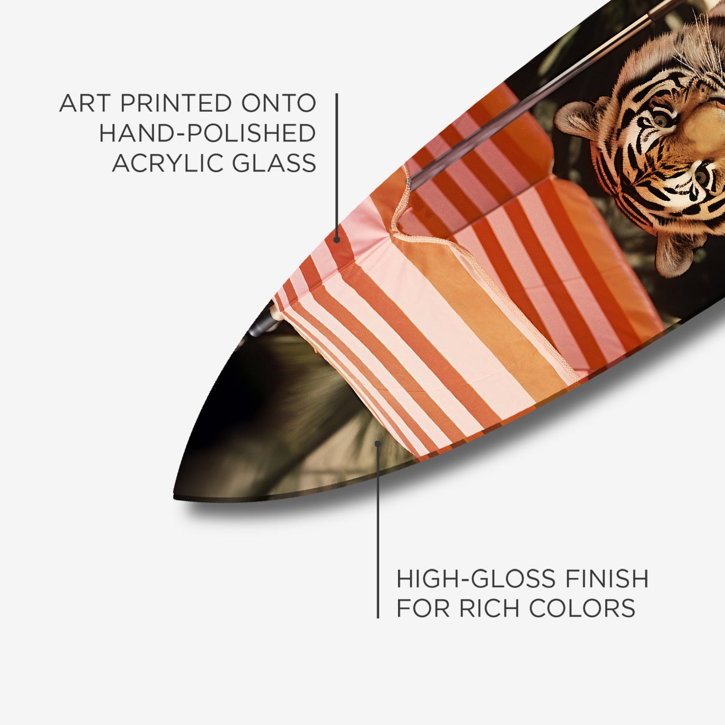 Tiger by The Pool Surfboard