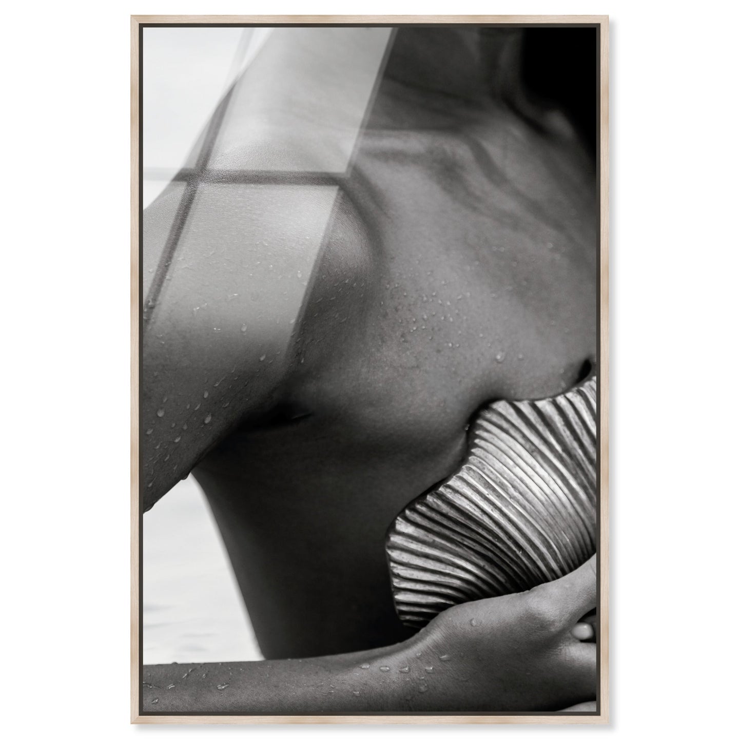 Lines and Curves