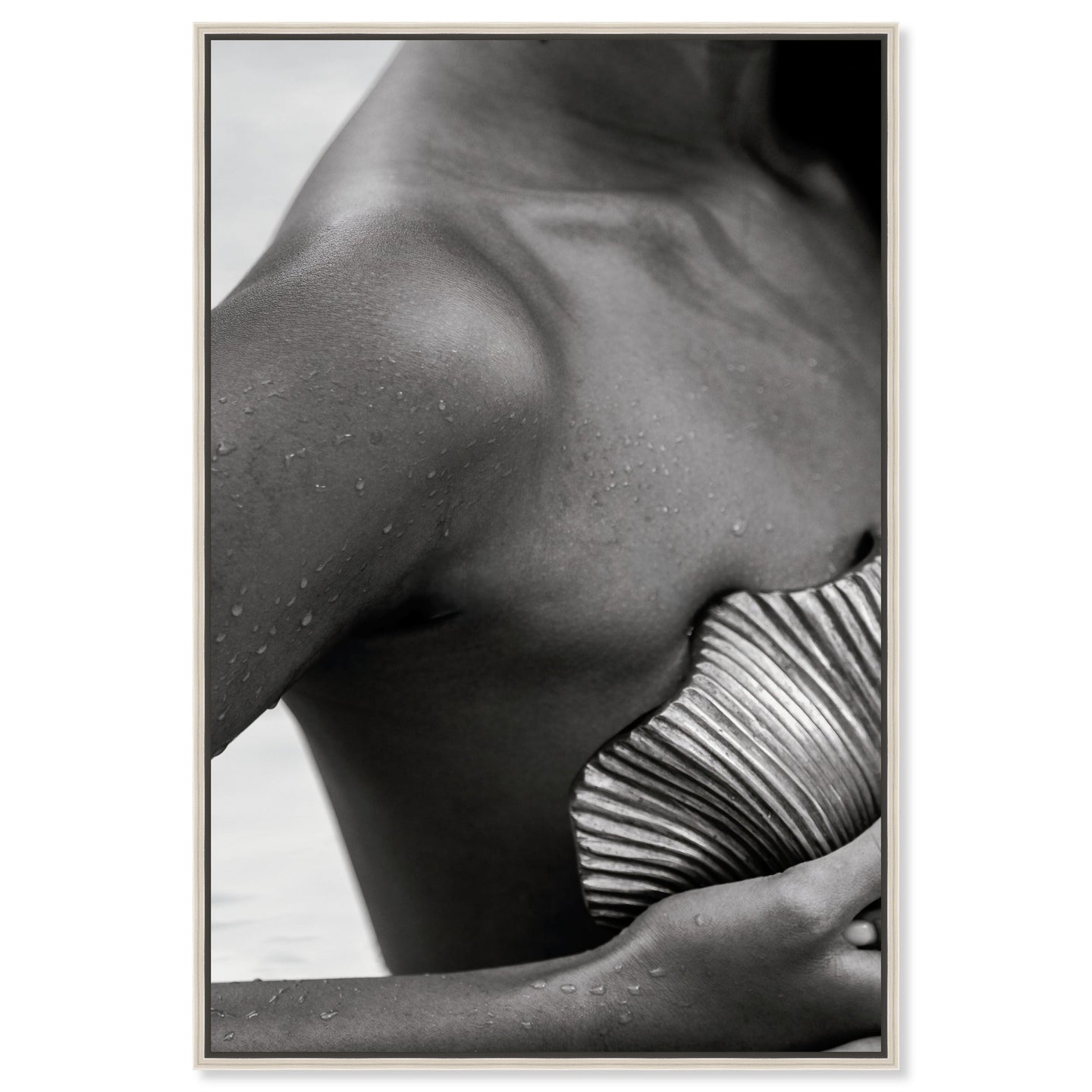 Lines and Curves