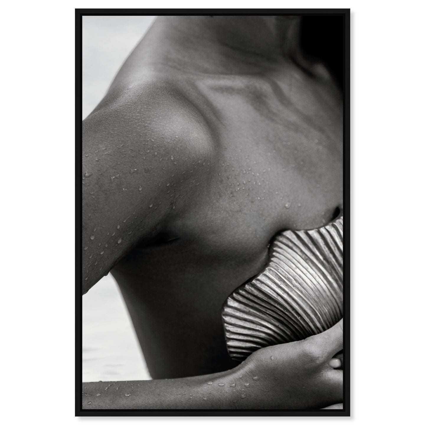 Lines and Curves