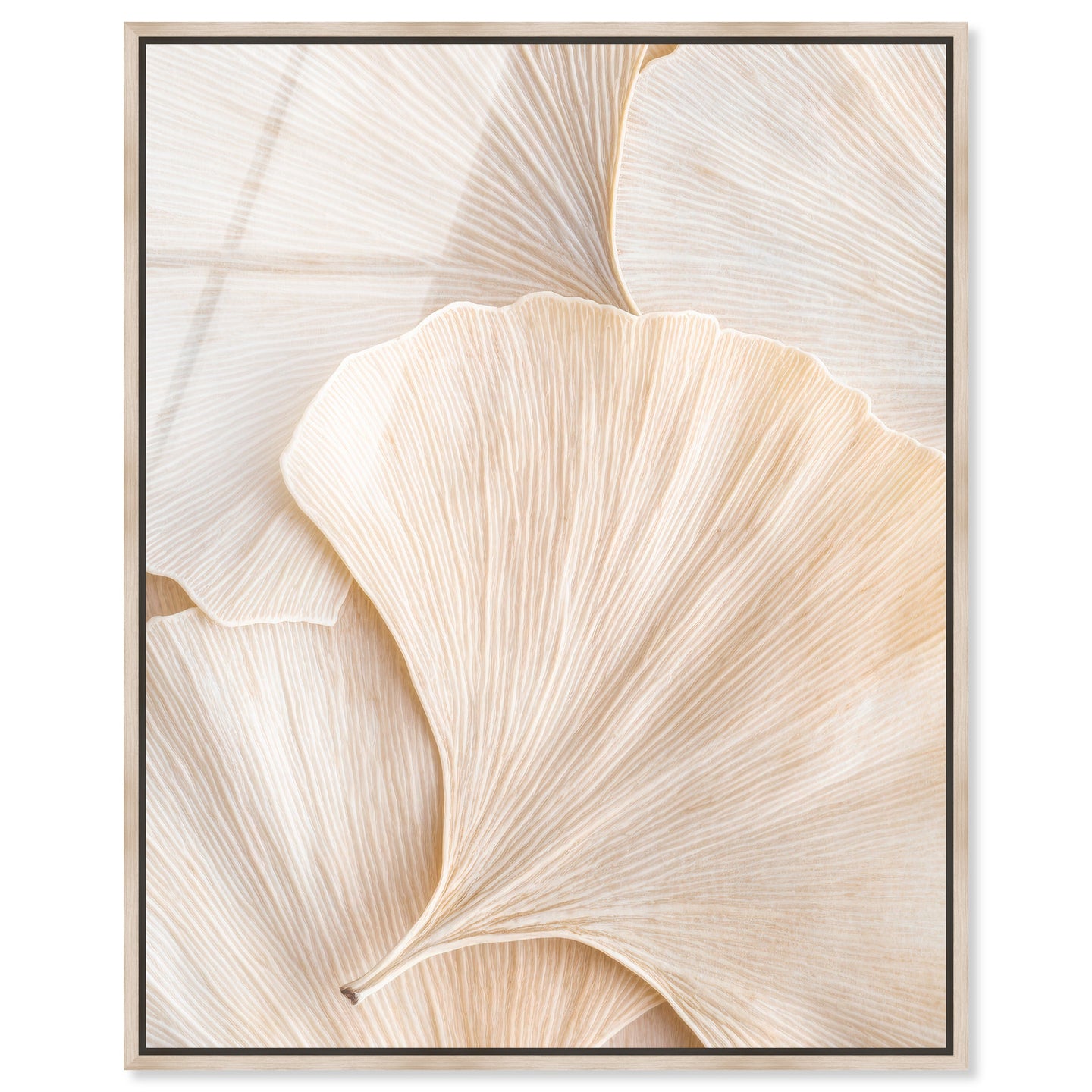 Subtle Petals
