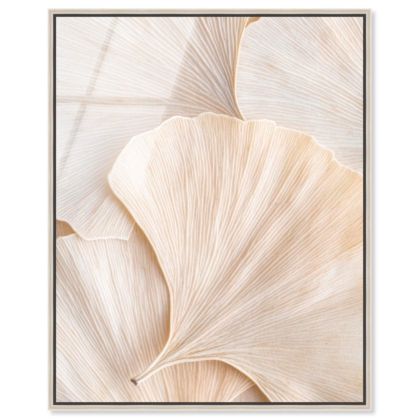 Subtle Petals