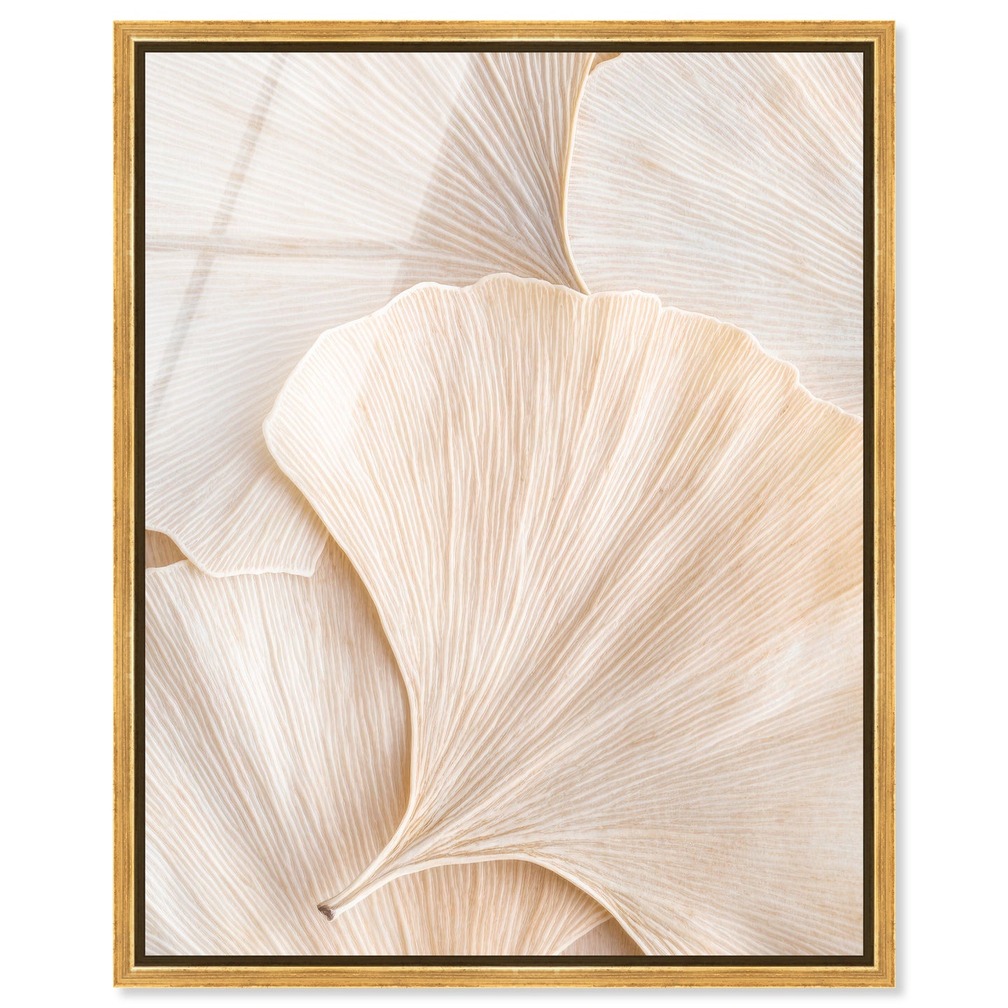 Subtle Petals