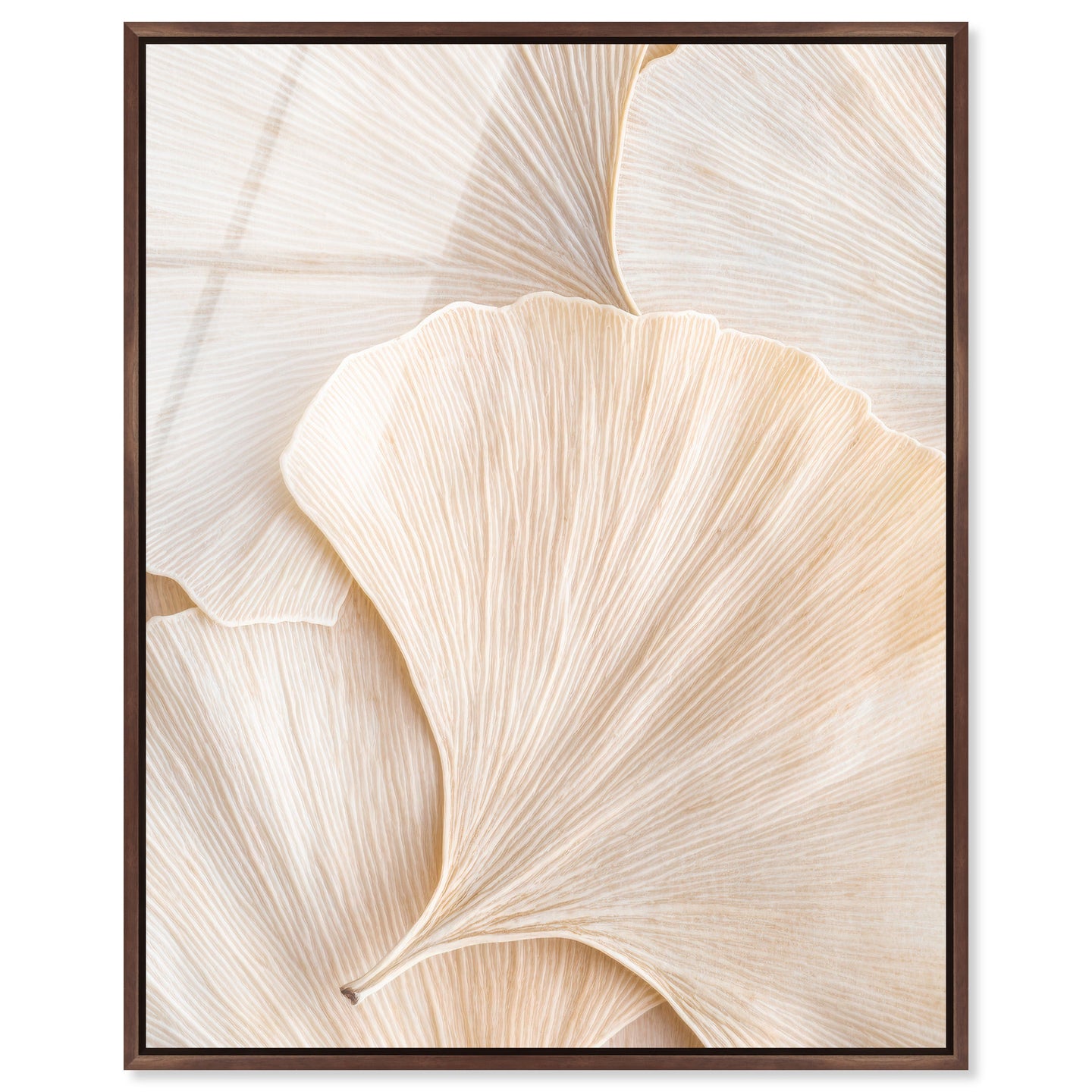 Subtle Petals