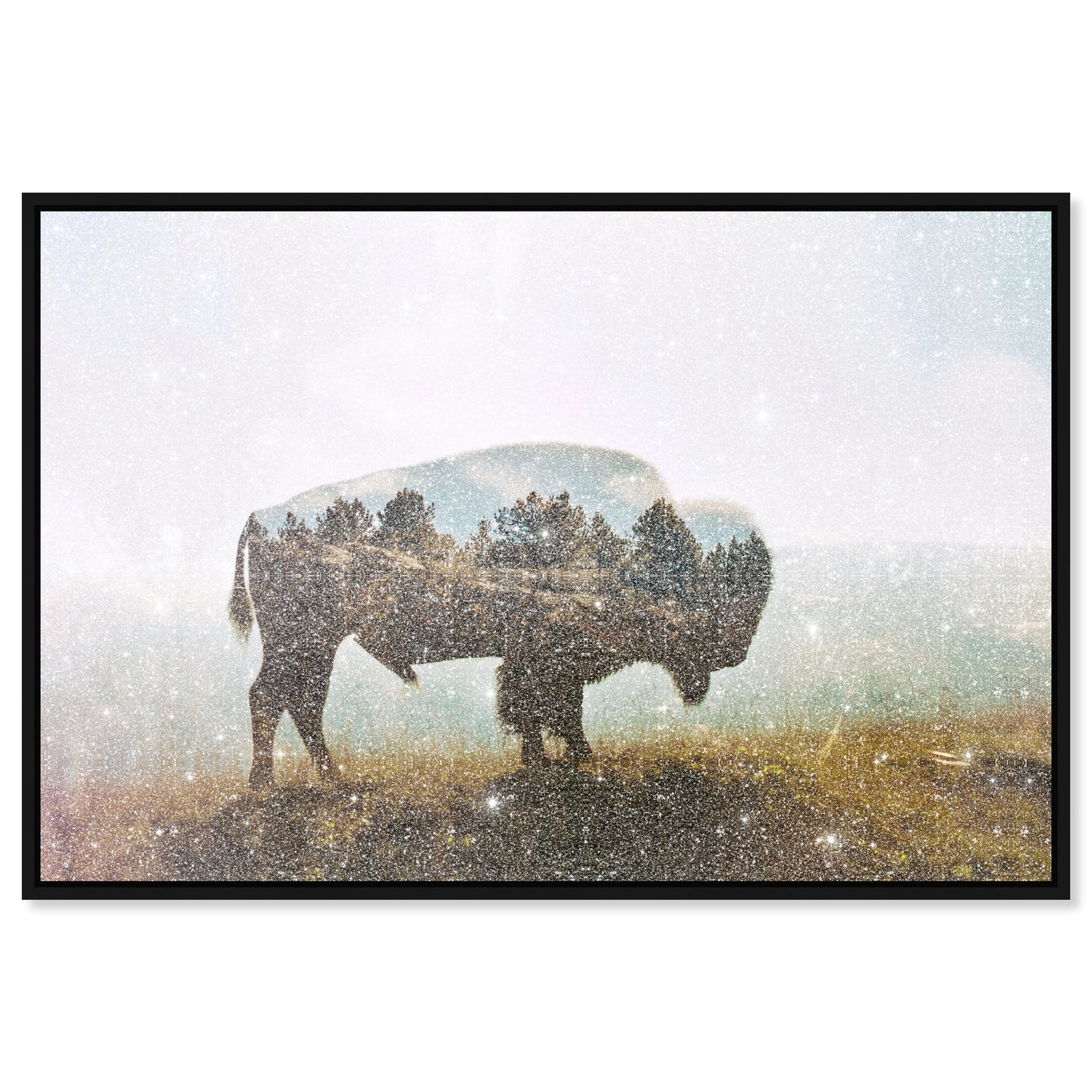 54x36/Canvas/BFL/DDXFINE