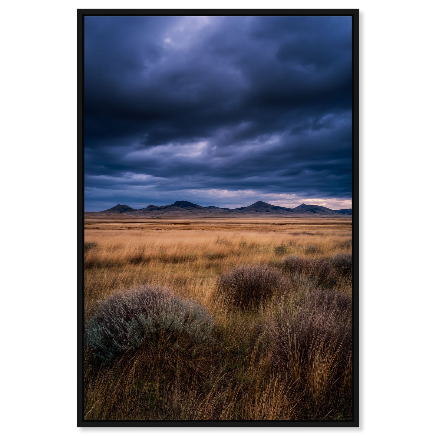 36x54/Canvas/BFL