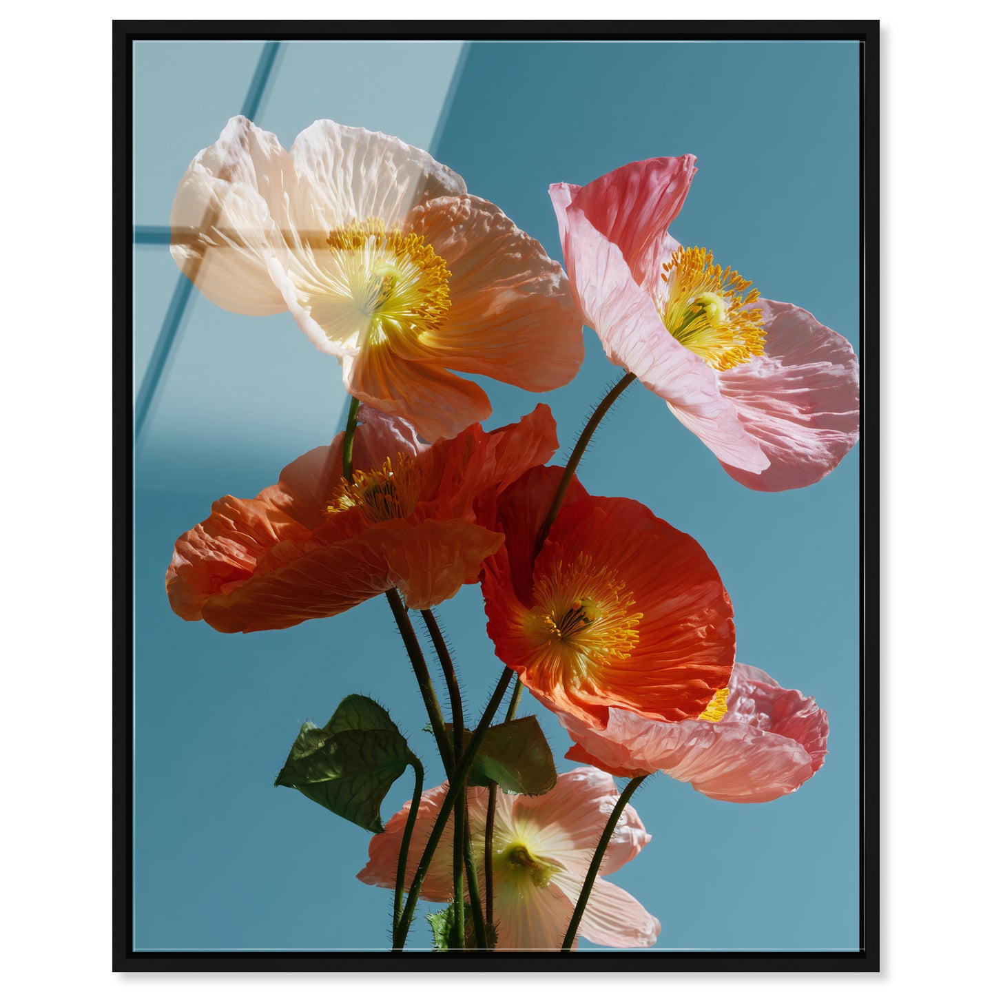 36x45/Acrylic/BFL
