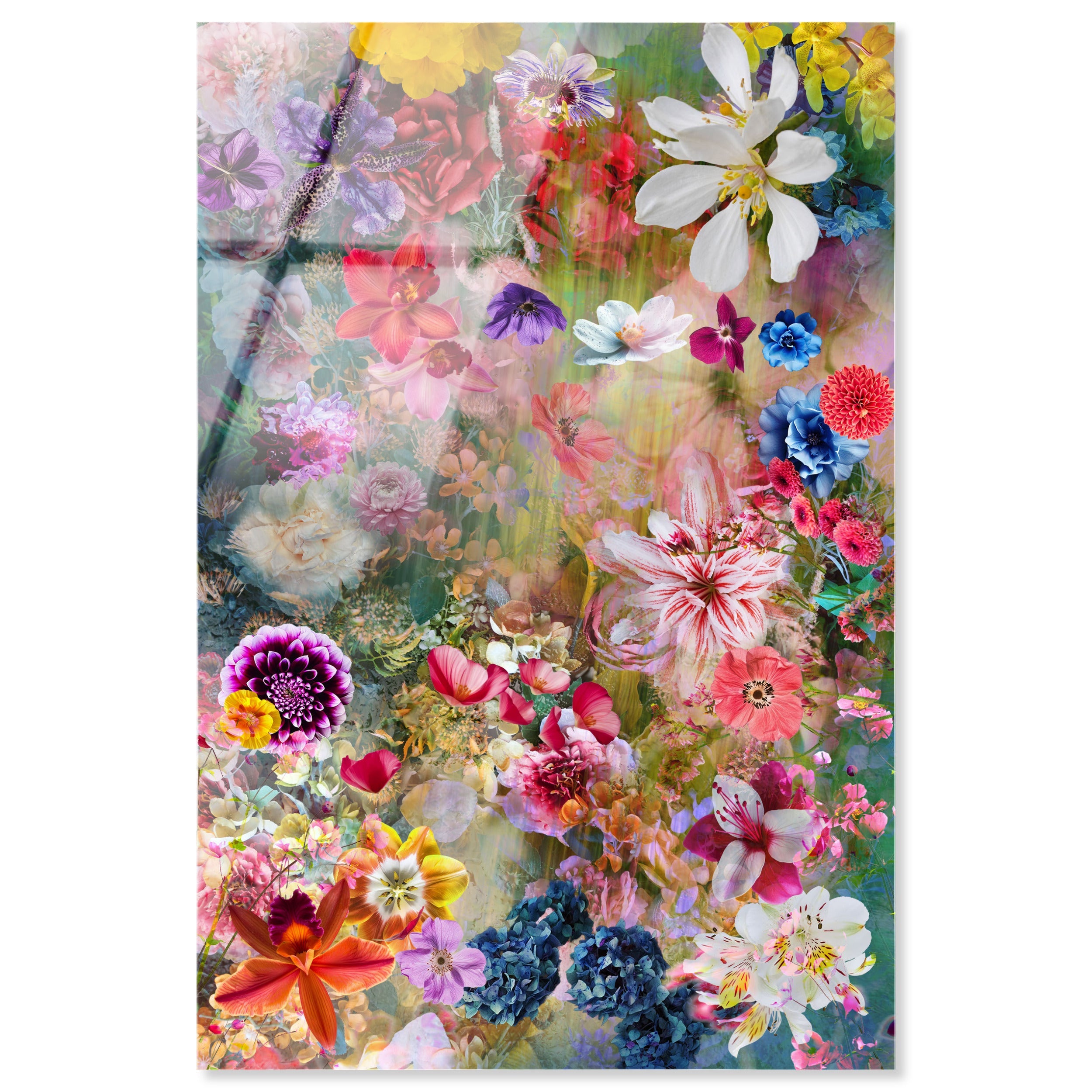Azlan Bloom Floral | Floral and Botanical Wall Art by Oliver Gal
