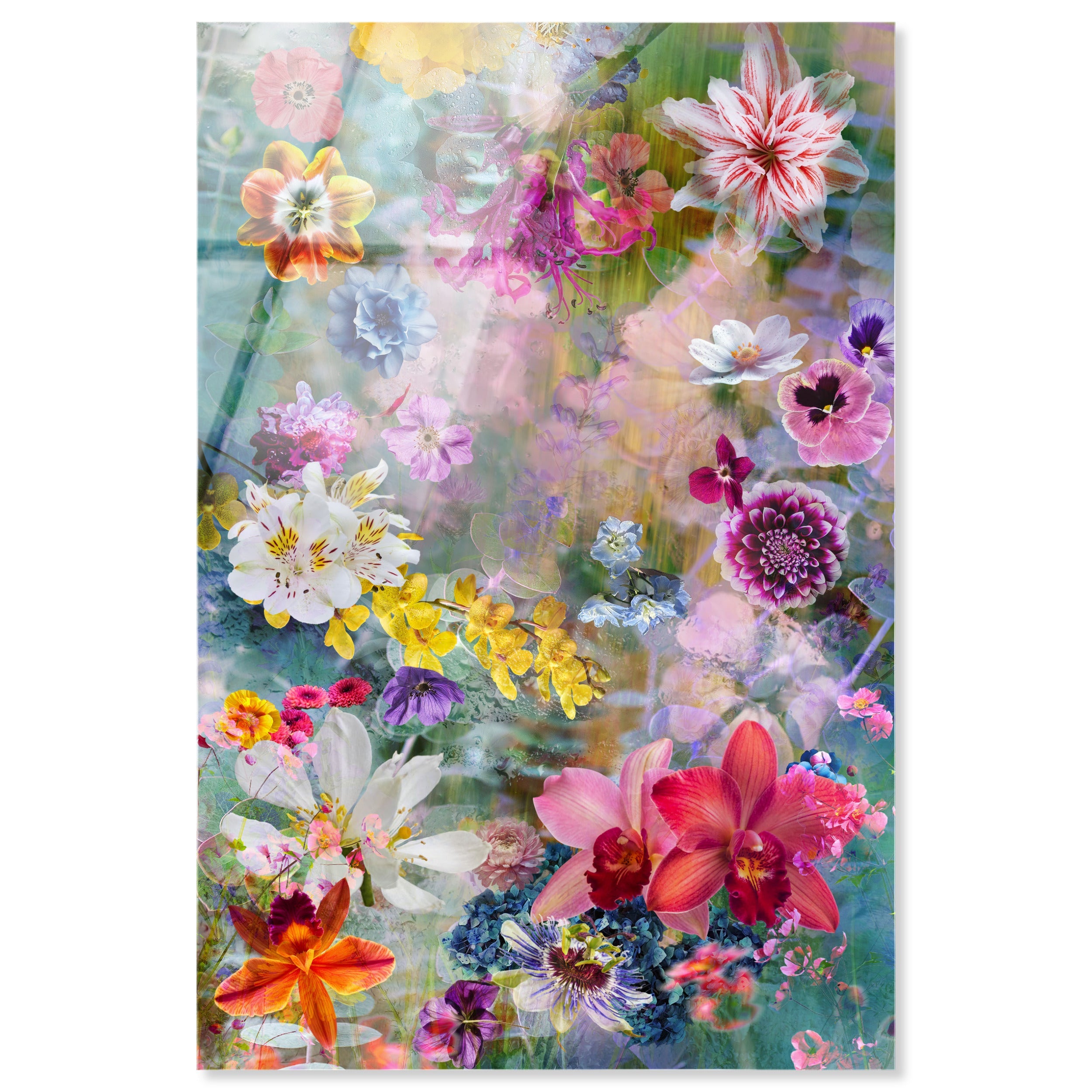 Ballerina Yellow Florals | Floral and Botanical Wall Art by Oliver Gal