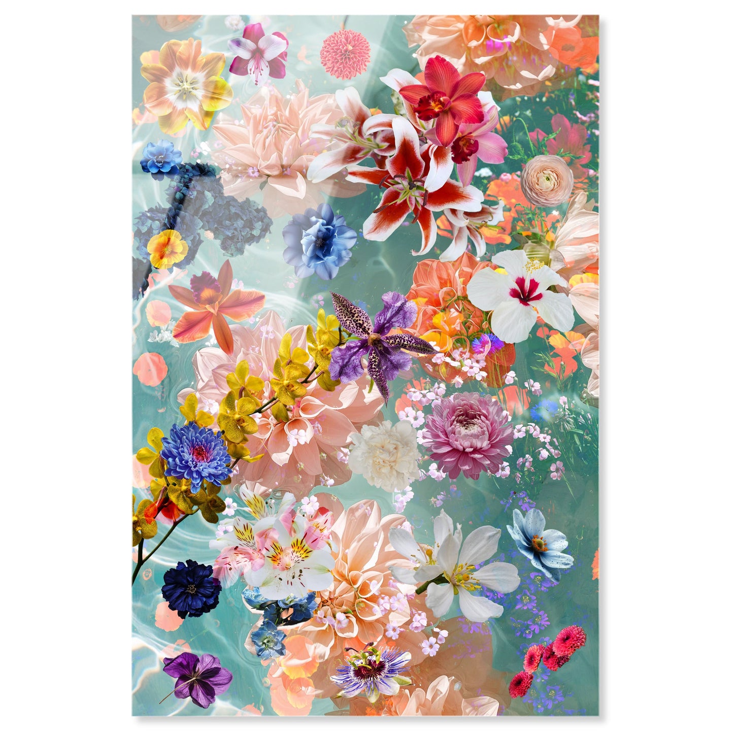 Quartz Coral Aqua Floral