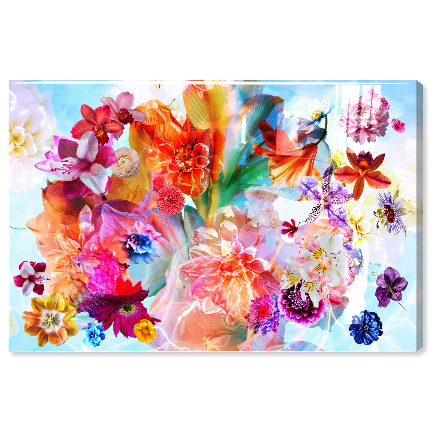 Gardenia Colorful Floral