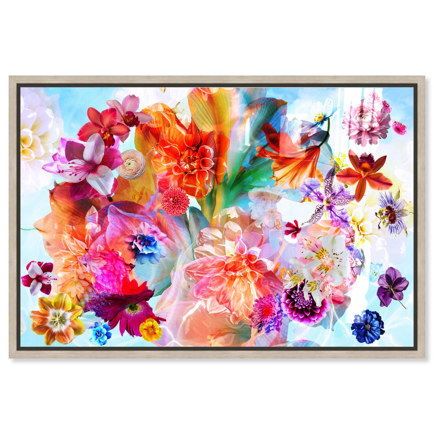 Gardenia Colorful Floral