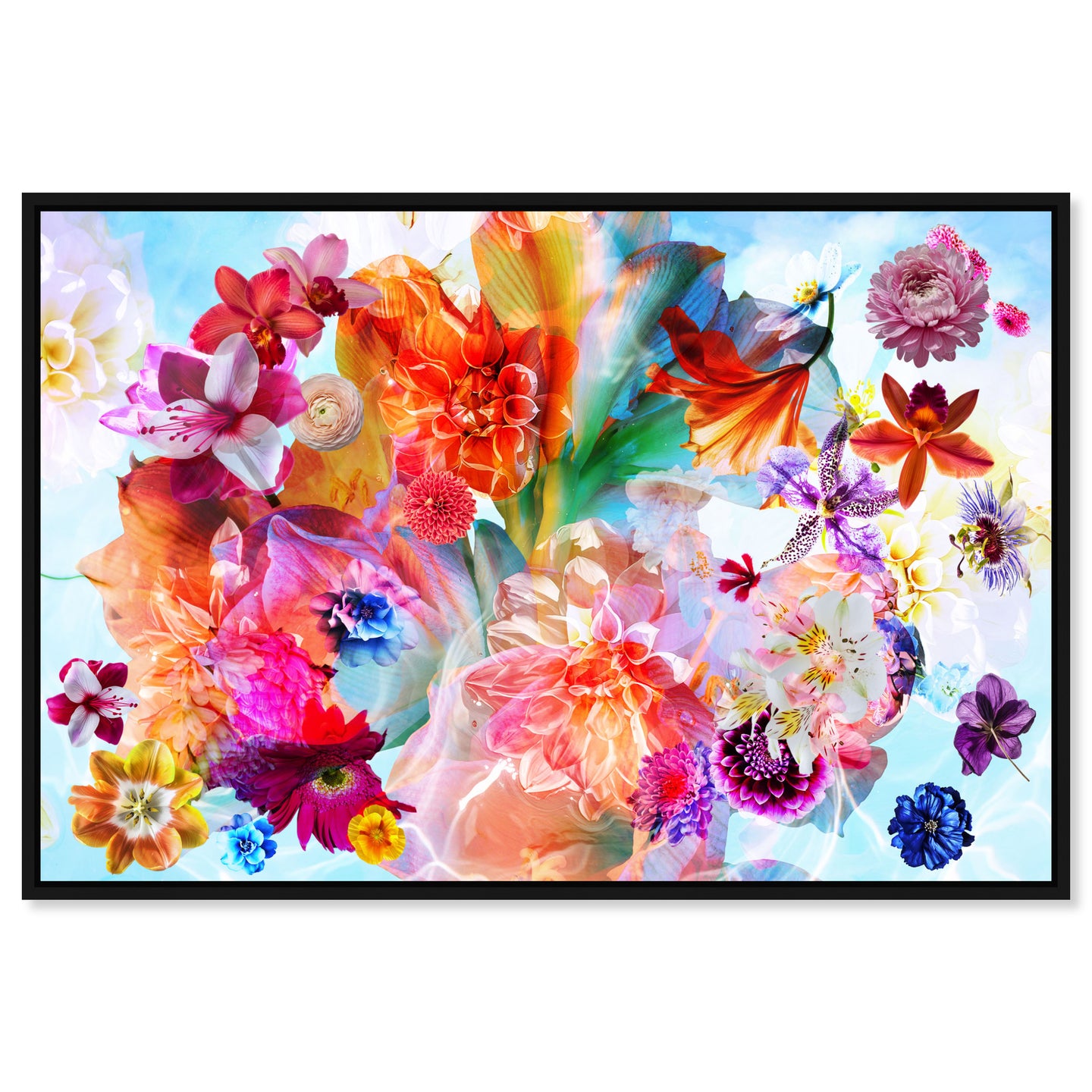 Gardenia Colorful Floral