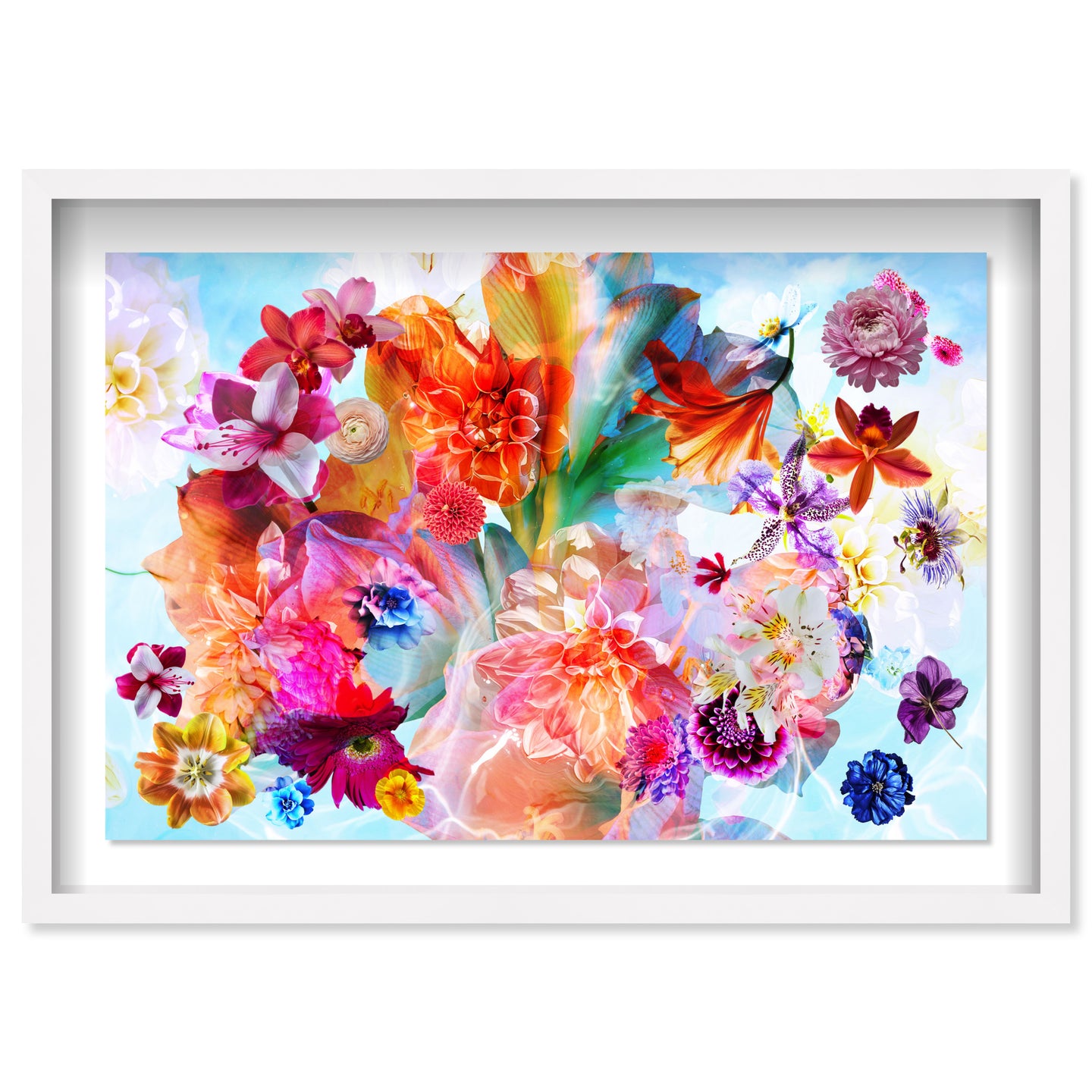 Gardenia Colorful Floral