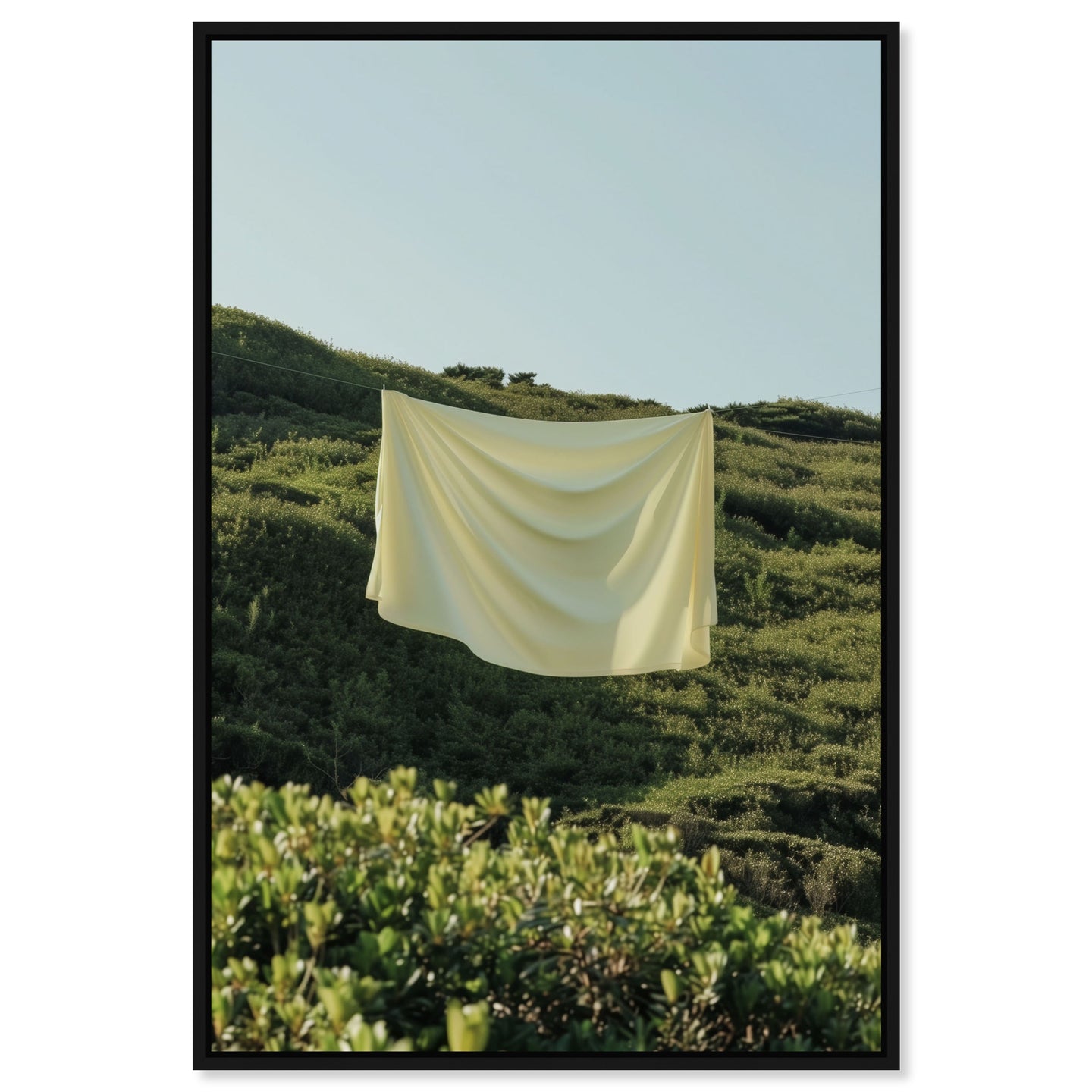 36x54/Canvas/BFL