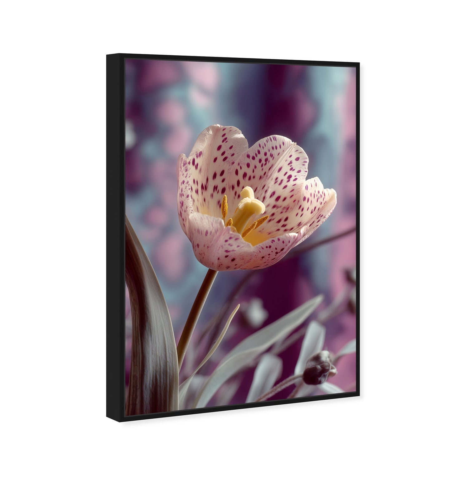 36x54/Canvas/BFL