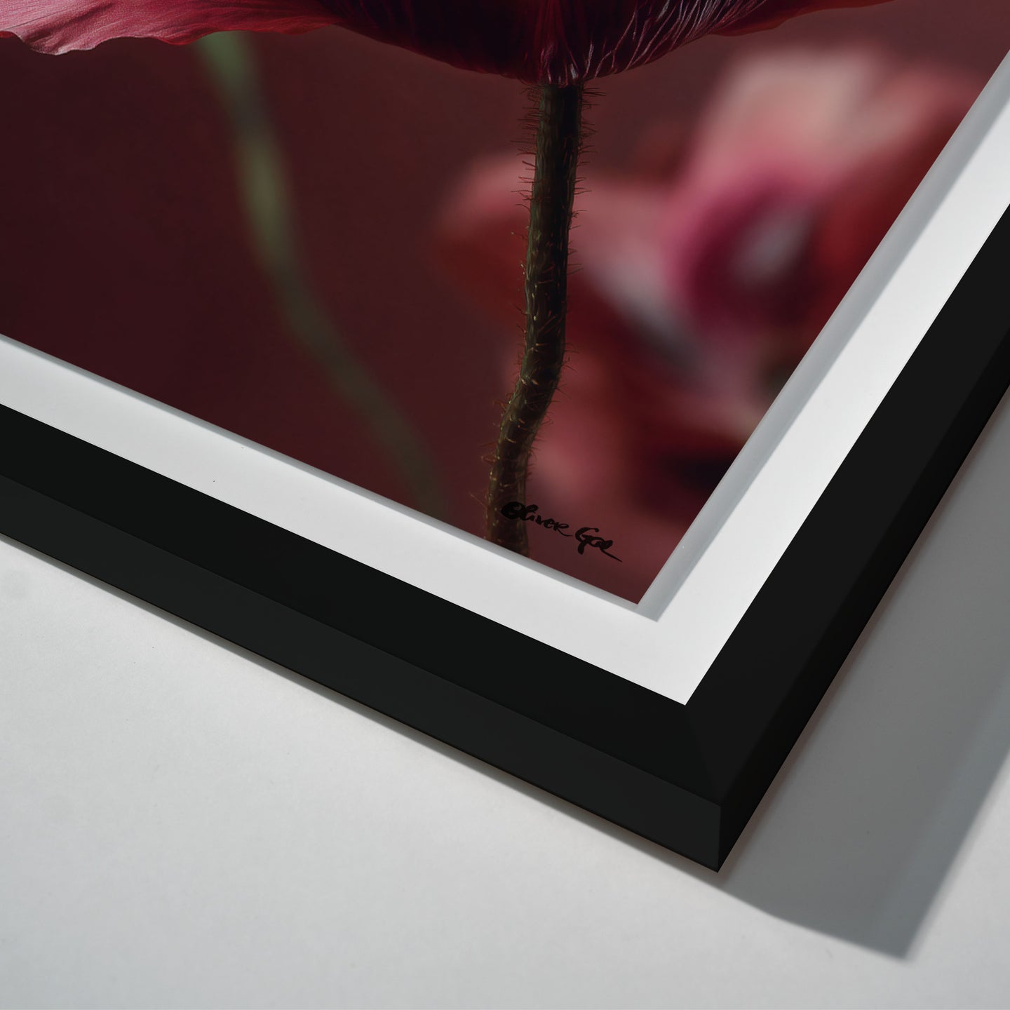 36x45/Shadowbox/SBB