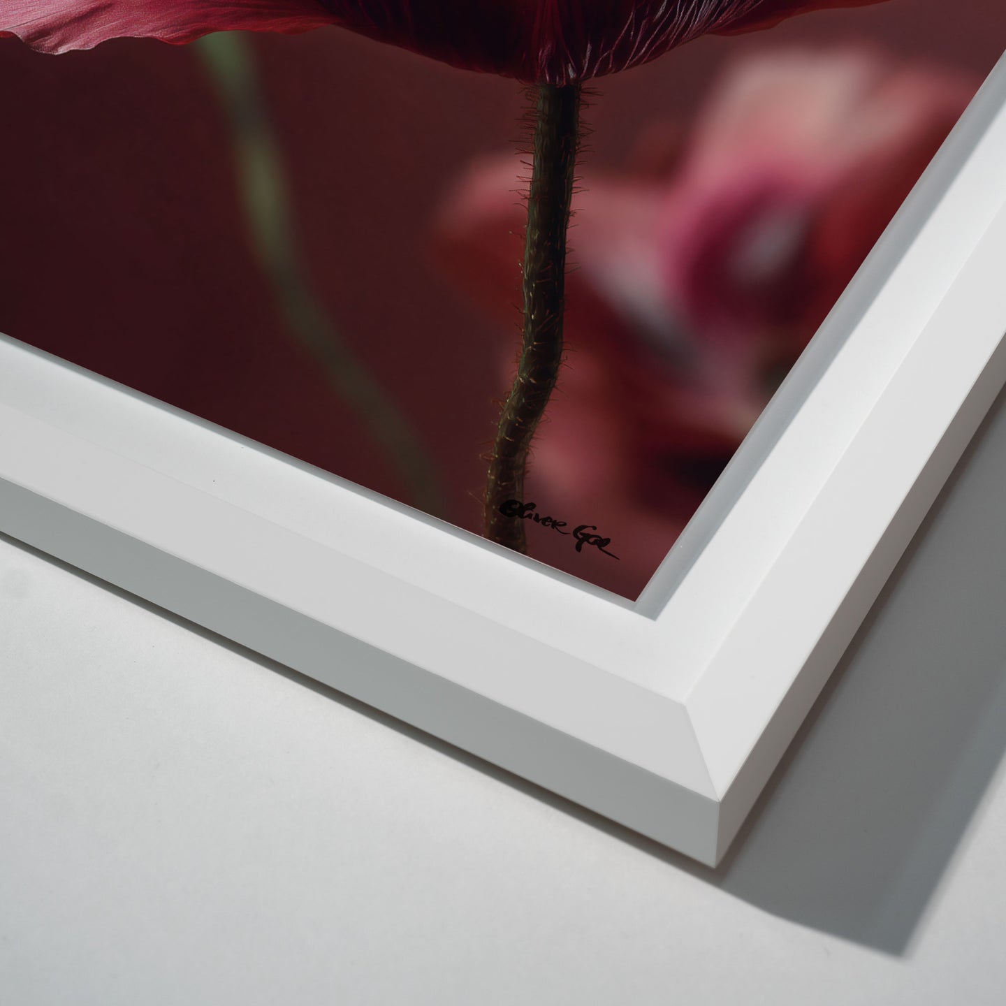 36x45/Shadowbox/SBW