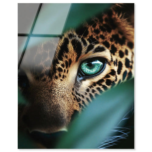 Cat Art – Oliver Gal