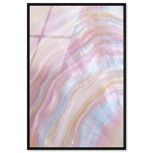 Blush Seashell