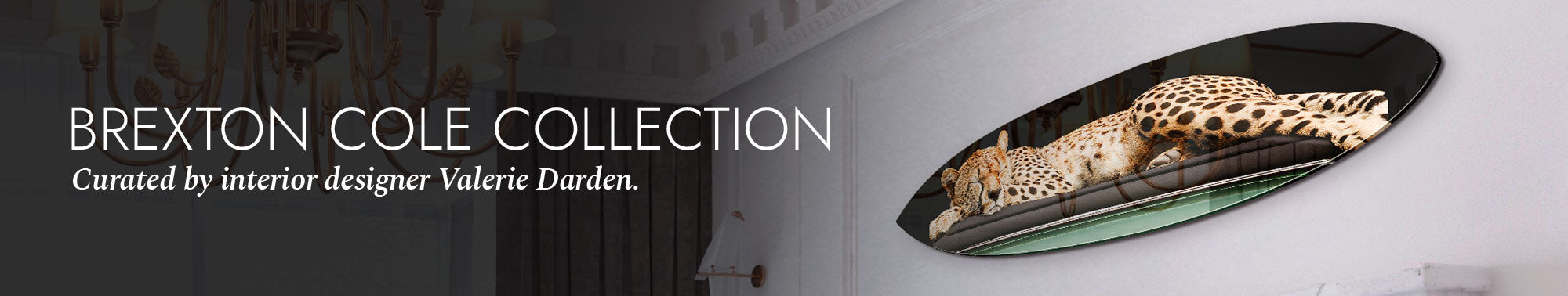 Brexton Cole x Oliver Gal Banner