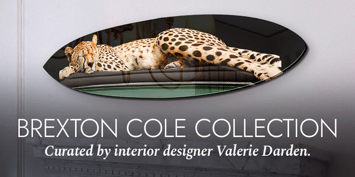 Brexton Cole x Oliver Gal Banner