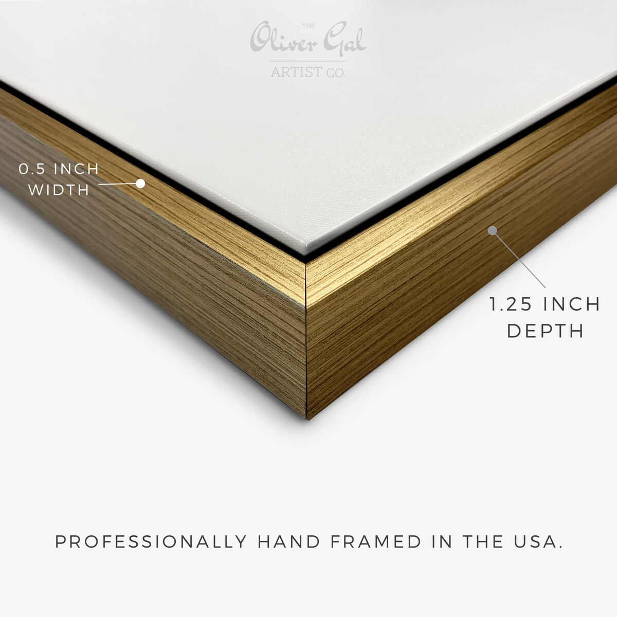 20x54/Framed Canvas/PSGLD
