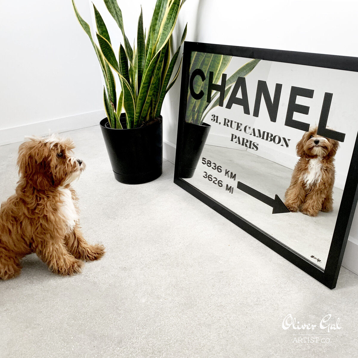 20x20/Mirror/WHITE/MIRROR