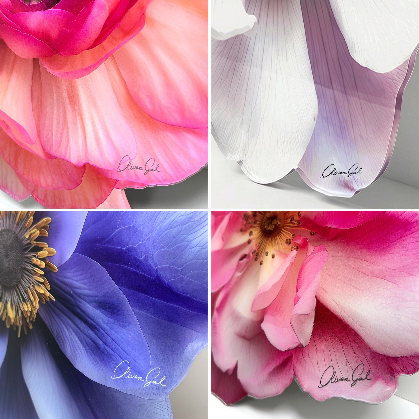 Flower Diecut 6 | Floral and Botanical Wall Art by Oliver Gal