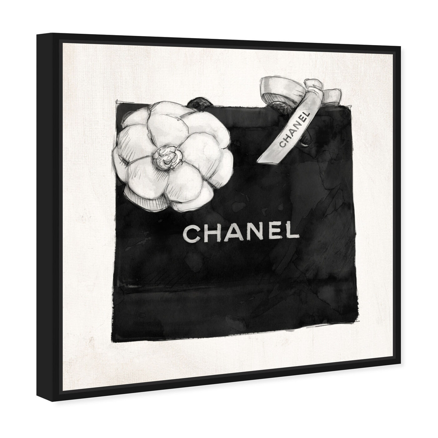 Oliver Gal 'Luxury Shopping Bag' Fashion and Glam Wall Art Canvas Print - Black, White - 20 x 20