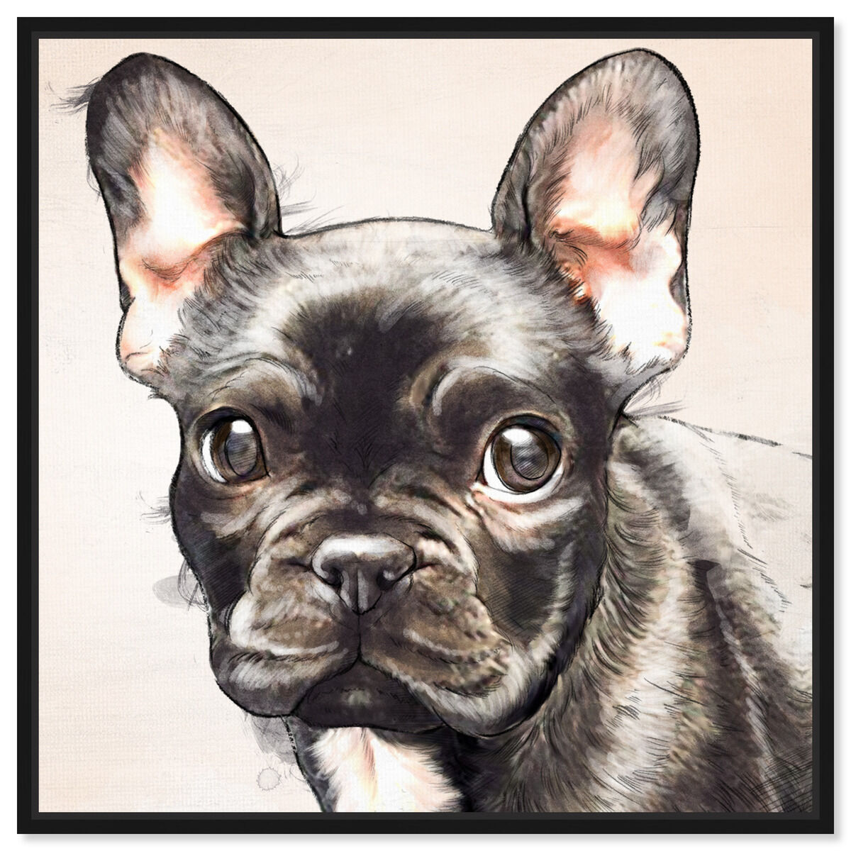 Frenchie Watercolor Black | By Oliver Gal