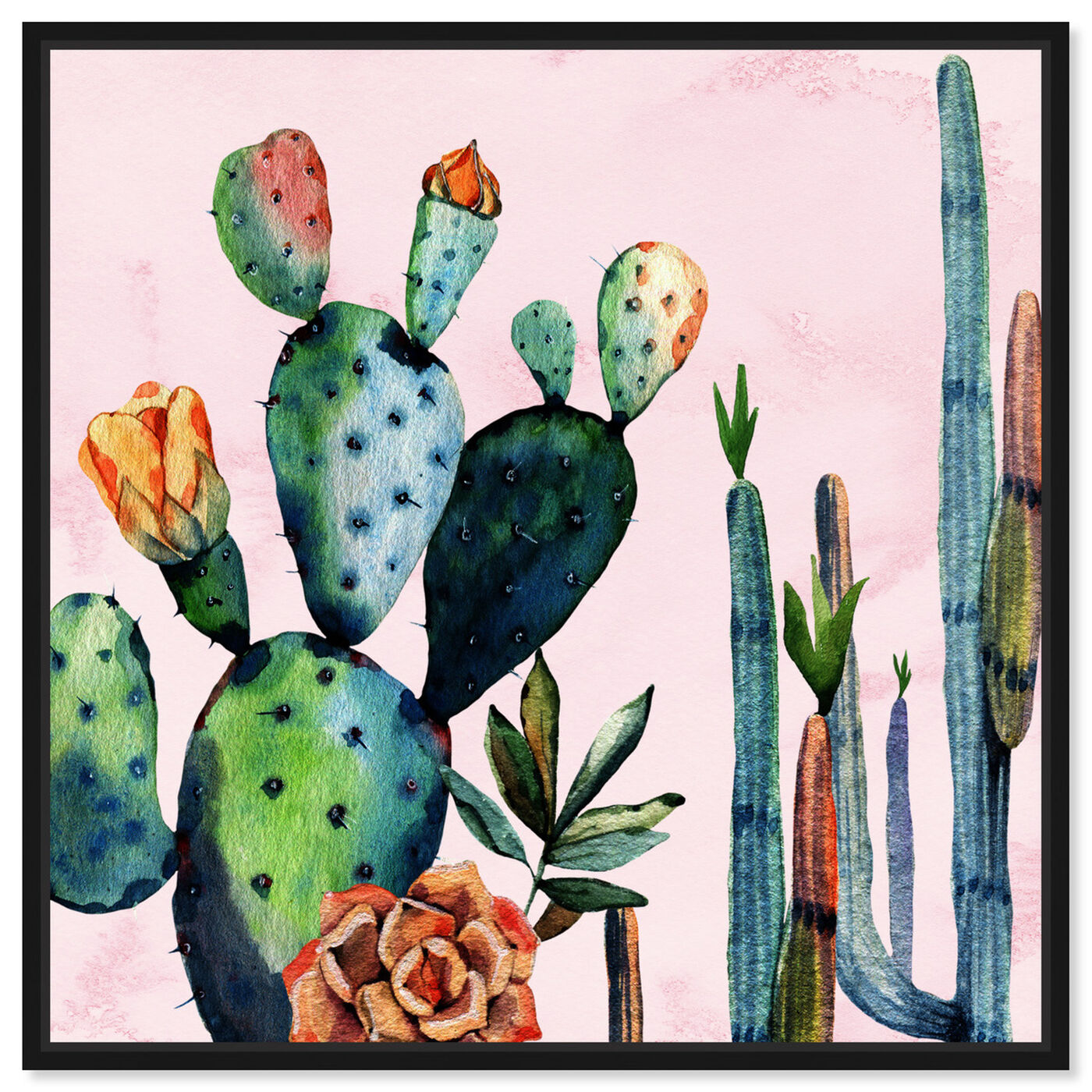 Watercolor Succulents | Floral and Botanical Wall Art by Oliver Gal