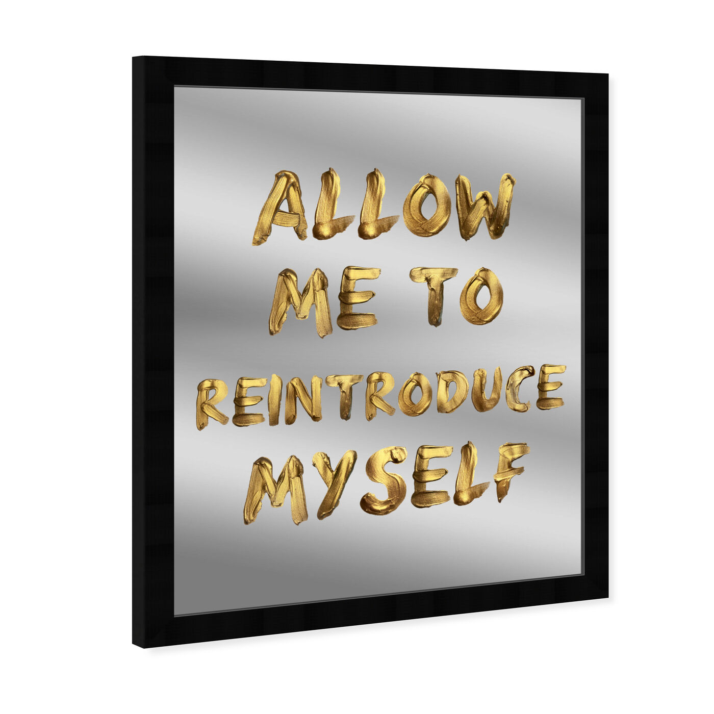 Reintroduce Myself - Decorative Mirror