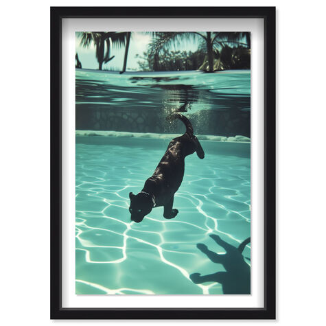 Panther Swim